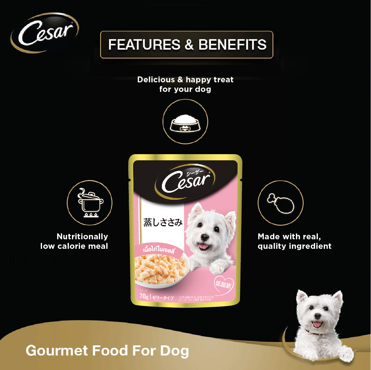 MARS%20TH_Cesar_Enrich%20Banner-02.jpg?1621325927624