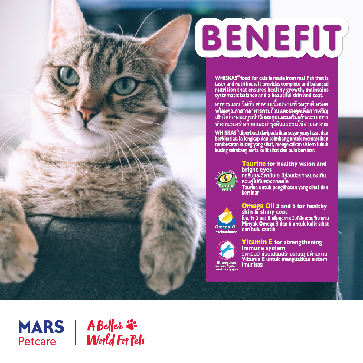 MARS%20Whiskas%20Pouch%20Enrich_2020-01.jpg?1621313321334