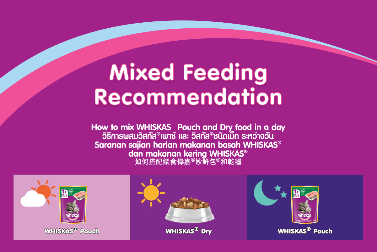 MARS_Whiskas_Enrich%20Banner_Adult-06.jpg?1621313122156