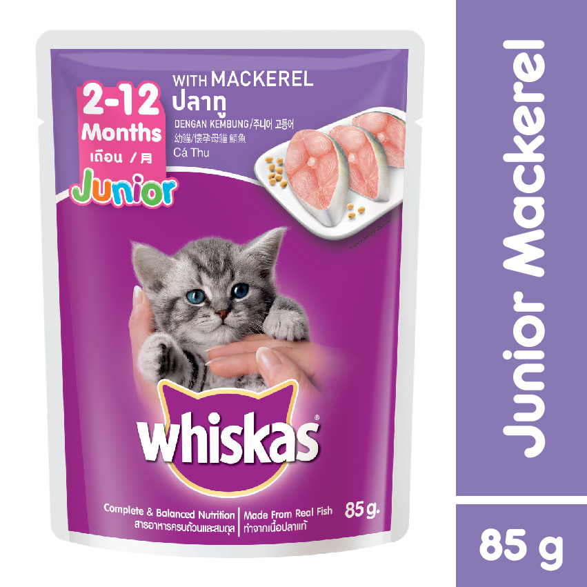 Whiskas cat food junior Clearance